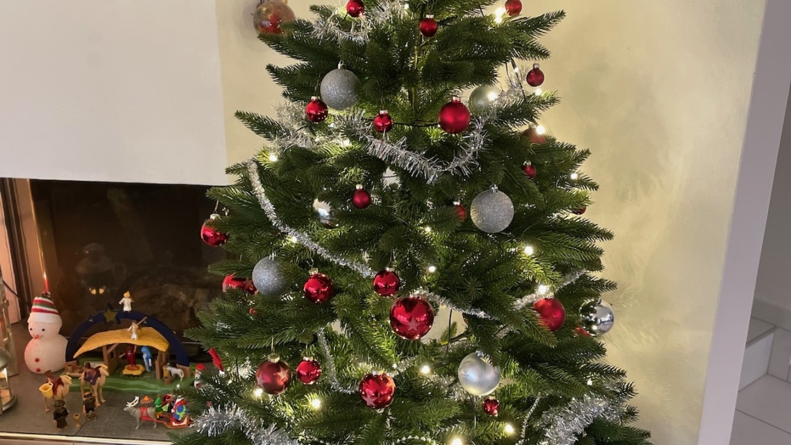 Geschützt: Die Weihnachtstage